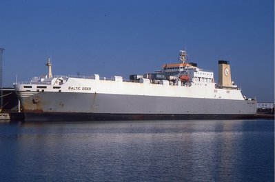 BALTIC EIDER 070897a.jpg