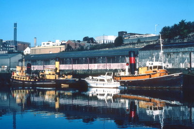 Chipchase & Goliath, 3 October 1982_1.jpg