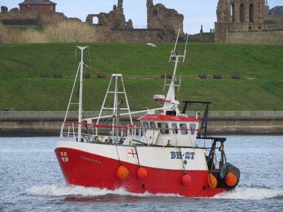 26) Charisma (21.03.16).jpg