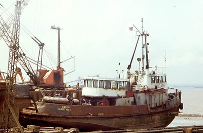Goliath19.jpg
