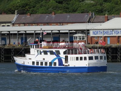 24) Fortuna (20.06.16).jpg