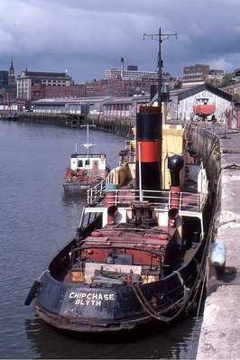 CHIPCHASE 230582a.jpg