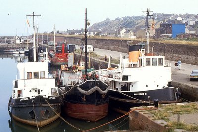 CHIPCHASE-VIC96-HARECRAIG II 1086a.jpg