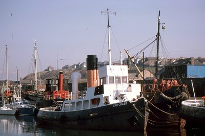 CHIPCHASE 310388a.jpg