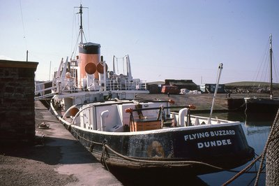 FLYING BUZZARD 310388a.jpg