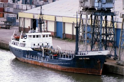 TEES REDWING 060886a.jpg