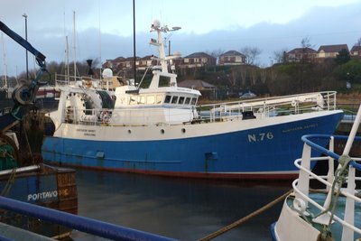 Northern Osprey2.jpg