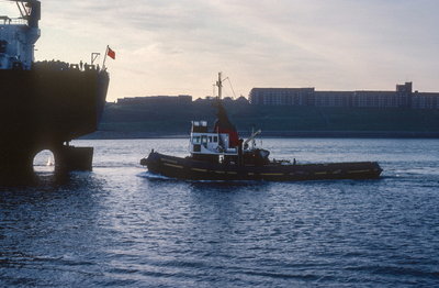 Northsider, 30 May 1982 A_1.jpg