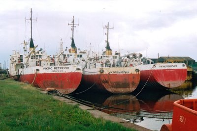 Viking Searcher-2.jpg