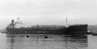 T - BRITISH IVY   1966-67.jpg