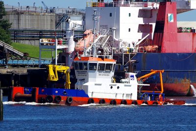 TEES GUARDIAN 170617b.JPG