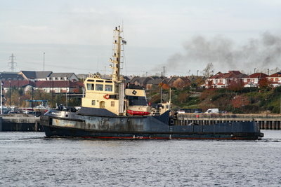 Rowangarth, 4 November 2007_1.JPG