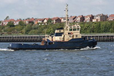 Rowangarth, 26 May 2008 - 2_1.JPG