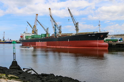 Efi Theo, Sunderland, 10 August 2017 (3)_1.JPG