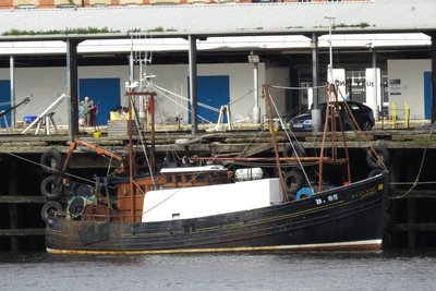 Pilot Star 250817.jpg