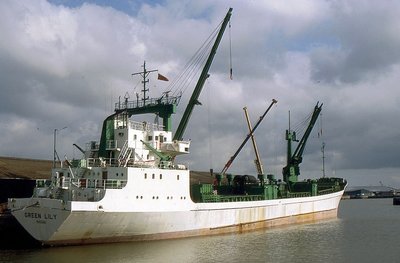 GREEN LILY 210397a.jpg