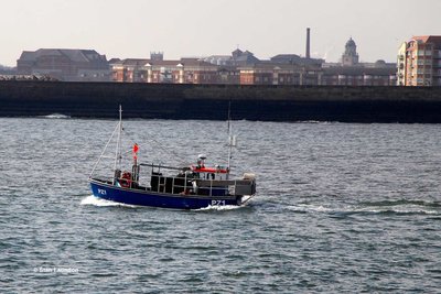 SARAH-BETH (PZ1).jpg