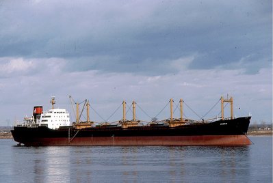 ZINNIA 260380a.jpg (274.37 KiB) Viewed 4276 times ZINNIA 260380a.jpg