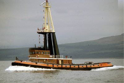 FLYING FULMAR 070490a.jpg