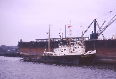 Noordzee Marinia Nov 1962.jpg