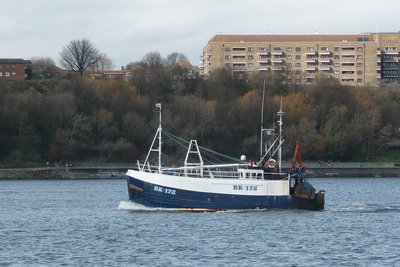 Good Fellowship-2.jpg