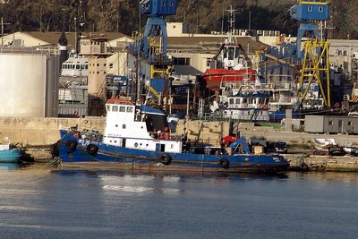 MIKELA I 020519a.JPG