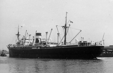 1004chinkoa.jpg