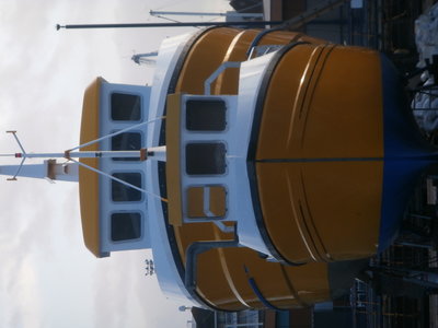 mama and baby chicks.JPG