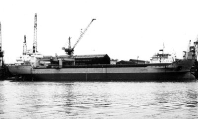 T - IRISH STAR   .jpg