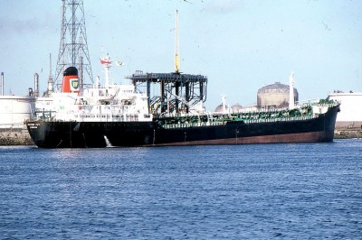 BRITISH IVY 041181a.jpg