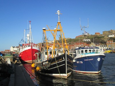Fishing boats in Whitby Harbour.JPG