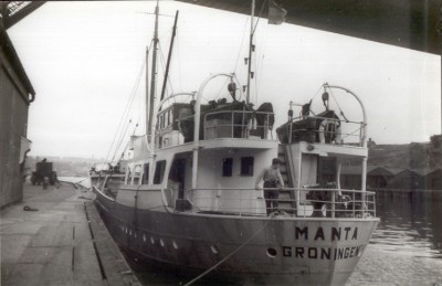 MANTA1951.jpg