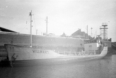 willmary 250574 x1.jpg