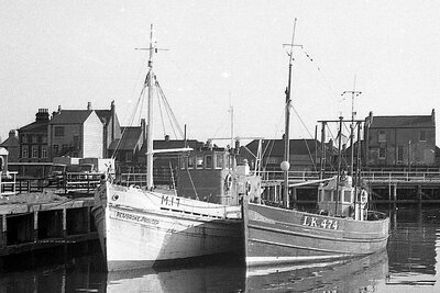 pembroke provider + golden ray 250574 x1.jpg