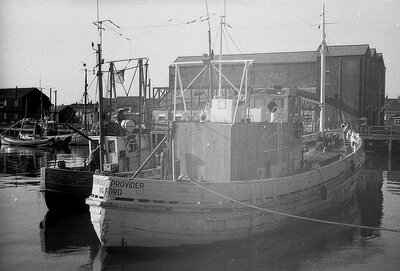 pembroke provider + golden ray 250574 x2.jpg