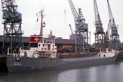 alicia d 190774 x1.jpg