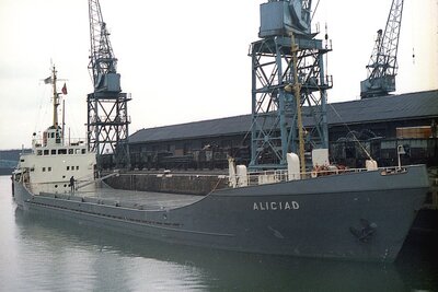 alicia d 190774 x2.jpg