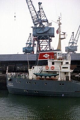 alicia d 190774 x3.jpg