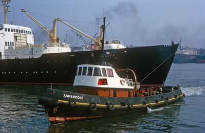 Ashbrooke and Leda .jpg