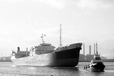 amoria171174.jpg