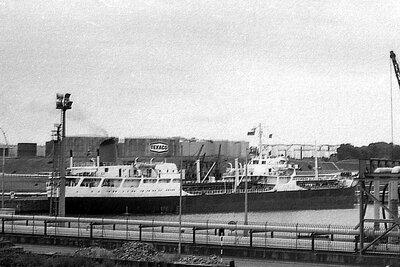 amoria 120775.jpg