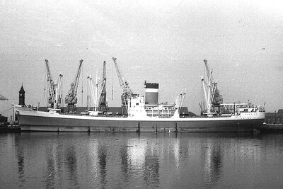 city of auckland 030875 x2.jpg
