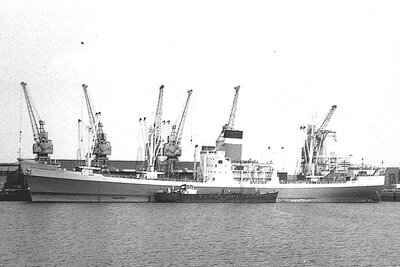city of auckland + grovedale h 060875.jpg