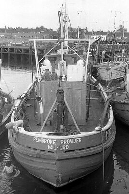 pembroke provider 240875.jpg