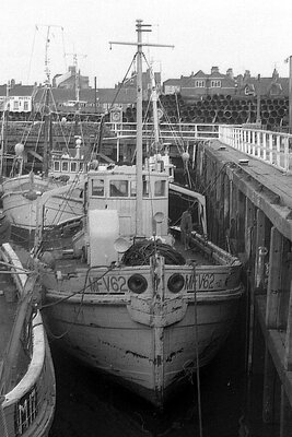 mfv 62 240875 x1.jpg