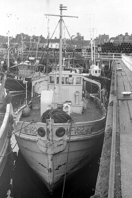 mfv 62 240875 x2.jpg