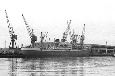 lobito palm 010975.jpg