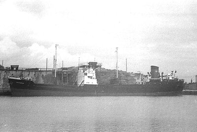 ouraniotoxo 080975 x3.jpg