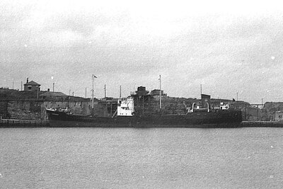 ouraniotoxo 080975 x4.jpg