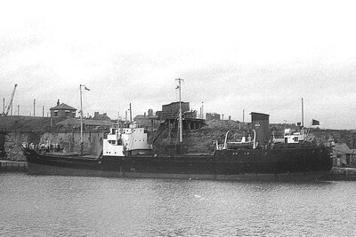 ouraniotoxo 080975 x5.jpg